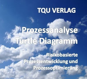 727 Prozessanalyse Turtle Diagramm